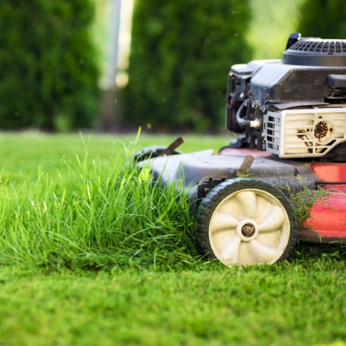 Lawn Maintenance